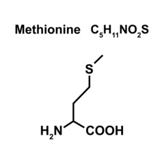 Methionine Amino Acid Chemical Structure. Vector Illustration.