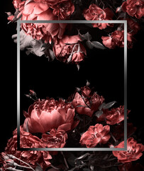 Red peonies and roses on a black background, silver frame and flowers, studio shot.