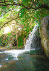 Mazzano Romano (Rome, Italy) - Waterfalls of Monte Gelato in the Regional park of Valle del Treja,...