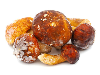 Frozen porcini mushrooms isolated on white background