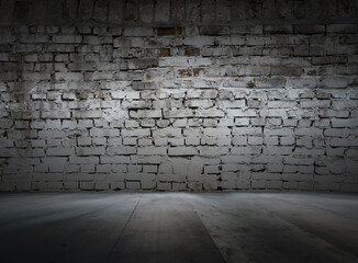 old interior with brick wall
