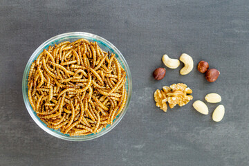 Snack insects. Mealworm larvae as food and variation of nuts. Mealworms crustaceans tenebrio molitor, freeze-dried for snacking. Fried worms. Roasted mealworms. Animal snack concept
