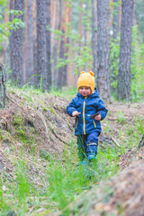 Toddler boy walks in the forest