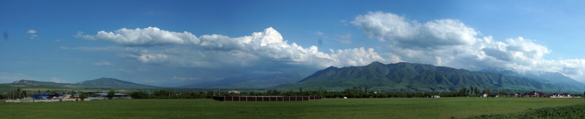 Fototapeta na wymiar Horizon cloudy sky, mountains, panorama with poppies. 