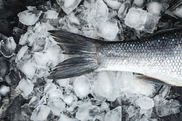 Fresh fish on ice