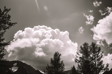Treetops against sky with clouds. Free space for text. Formation of atmosphere front. Watching...