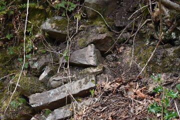 Natural shots of the landscape surroundings in Tintern Abbey, Wales.