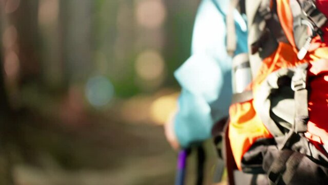 登山をする若い男性　スポーツイメージ