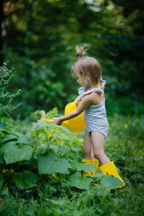 Toddler child girl with a large yellow watering can waters a bed of cucumbers in the garden