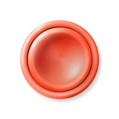 Realistic matte red button. Plastic Circle Ui component. Vector illustration for your design.