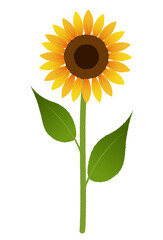 ひまわりのイラスト
