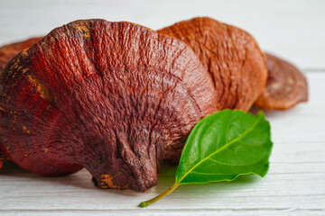 Lingzhi or Reishi mushroom with capsules, organic natural healthy food.