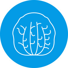 Radicchio Icon Design