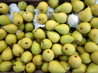 Pere