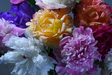 Multicolored flowers, peonies and roses close-up, studio shot.