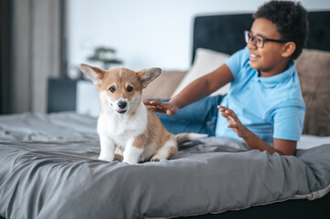 Cute dark-skinned boy in eyeglasses and his puppy at home