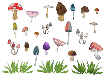 Mushroom, Mushrooms, pattern, grass, herb, weed, herbage, forest, nature, scenery, kind, biology, botany, flowers