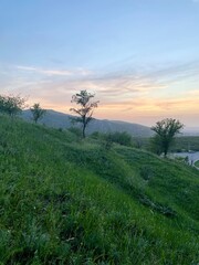 Fototapeta na wymiar Sunset and grass / Закат и трава (ByKate)