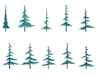 Collection of illustrations of pines, Christmas trees.