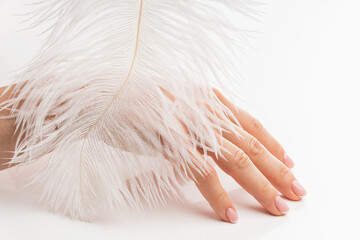 Female hand with smooth skin and soft ostrich feather on white background