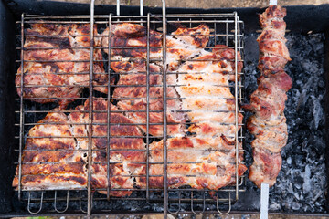 Fried kebab on skewers and barbecue.