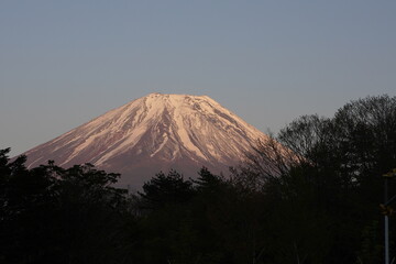 Fototapeta na wymiar 日本の山梨県　富士山麓の公園から夕焼けの富士山を眺める
