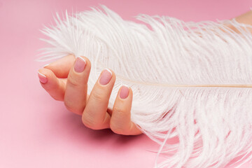 Female hand with smooth skin and soft ostrich feather on pink background