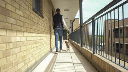 Man with dog walking on terrace