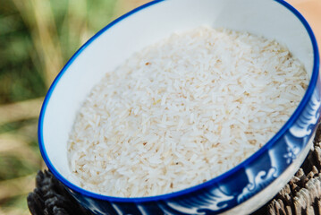 thai jasmine rice