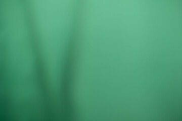 soft green gardain background has a little abstract light. soft background for wallpaper,design,graphic and presentation