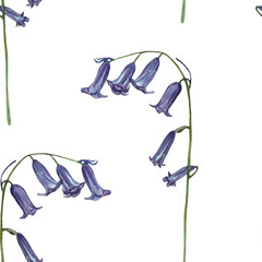 Wildflowers print in watercolor style. Wildflowers and herbs are hand-drawn. Floral background for fabrics, paper, wallpaper, cards and more.Nature.