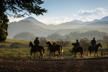 Fototapeta na wymiar Silhouette of country man on horses with beautiful mountains in background in Vinales, Cuba