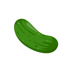 green cucumber Ingredients for cooking