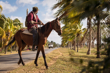 Man on horse on street with full of palm trees around. Beatiful road of Bay of Pigs, Cuba