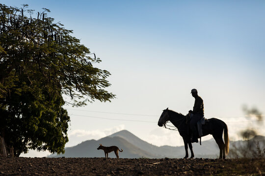 Silhouette of country man on horses with beautiful mountains in background in Vinales, Cuba
