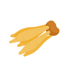 Kaempferia. Herbs for health. Has properties to help nourish the body