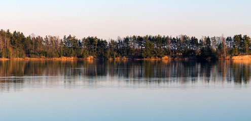 Panoramic view spring forest reflecting in lake on morning