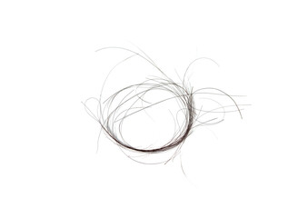 A pile of hair falling on a white background.