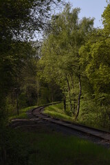 Obraz premium old railway track going though the forest