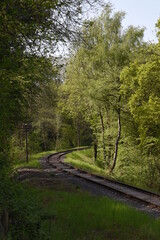 Obraz premium old railway track going though the forest