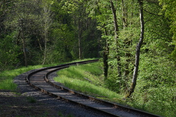 old railway track going though the forest