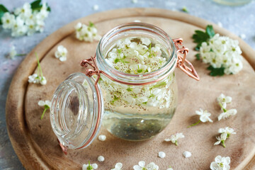 Preparation of tincture from fresh hawthorn flowers in a jar