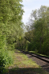 old railway track going though the forest