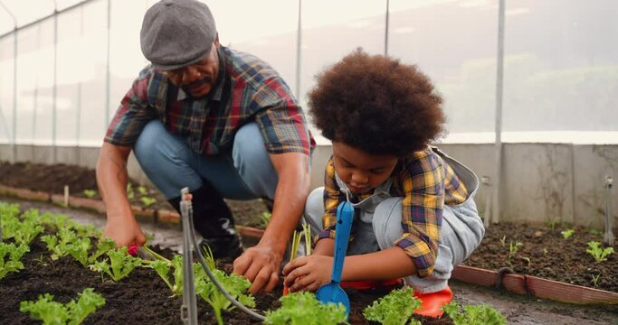 African dad and son planting garden together in the spring in nursery. Family planting tree and flowers in a nursery at backyard. Little boy and his father gardening in spring