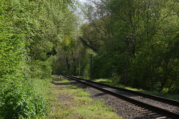 old railway track going though the forest