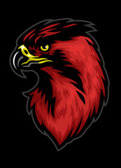 Head of Hawk in Drawing Style
