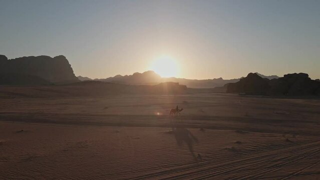 aerial footage with a person riding a dromedary at sunset through the wadi rum desert in jordan