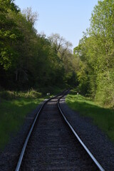 Fototapeta premium old railway track going though the forest