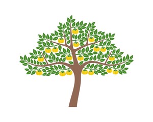 Garcinia fruit tree logo. Isolated garcinia fruit tree on white background