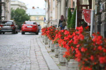 Fototapeta na wymiar Pedestals with red flowers on the city street.